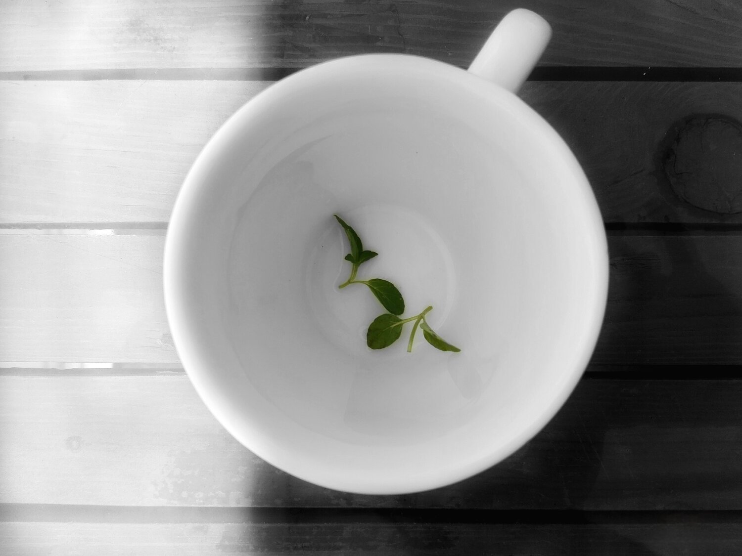 Фотография #13851900