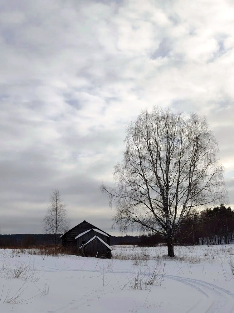 Photograph by Юлия Холомцева
