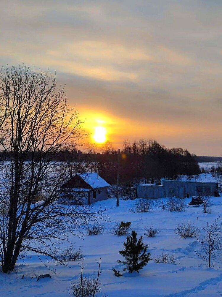 Photograph by Юлия Холомцева