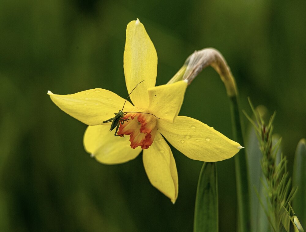 Photograph by Ирина Бабич