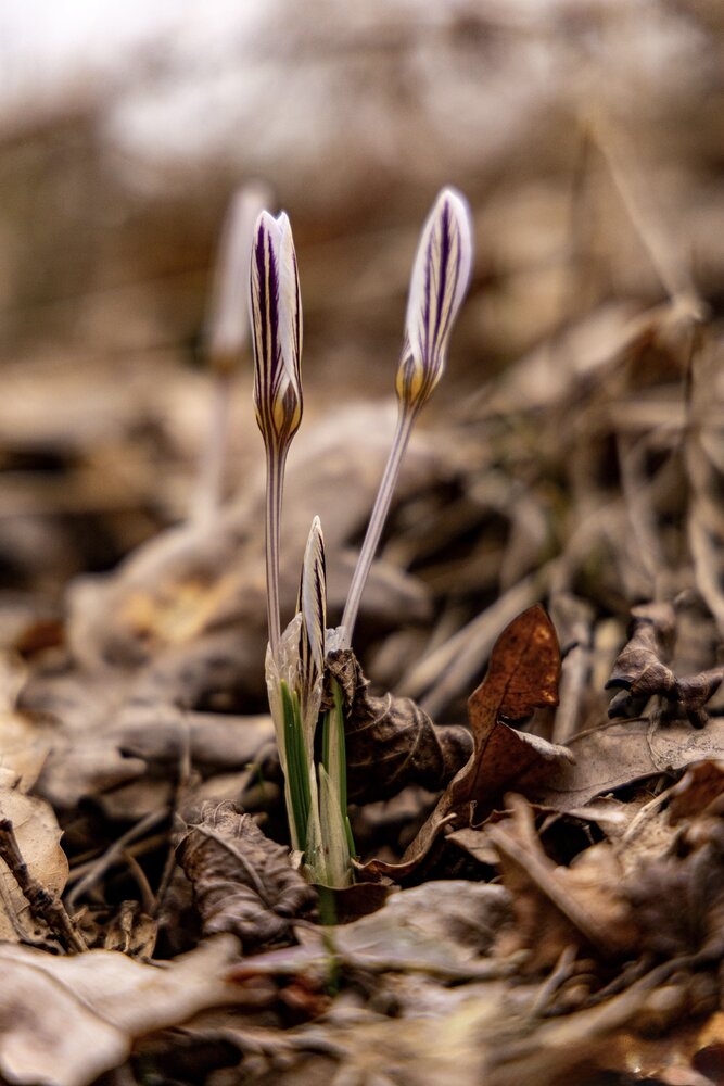 Photograph by Ирина Бабич