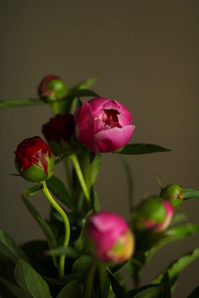 Photograph by EKATERINA SOKOLOVA