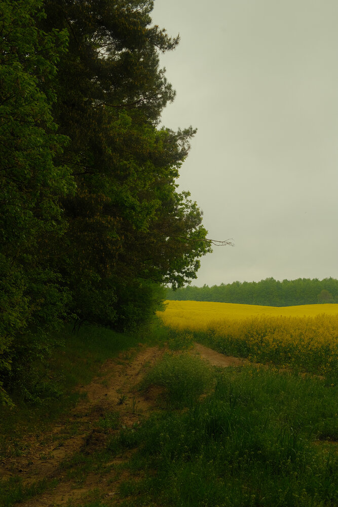Фотография автора Николай