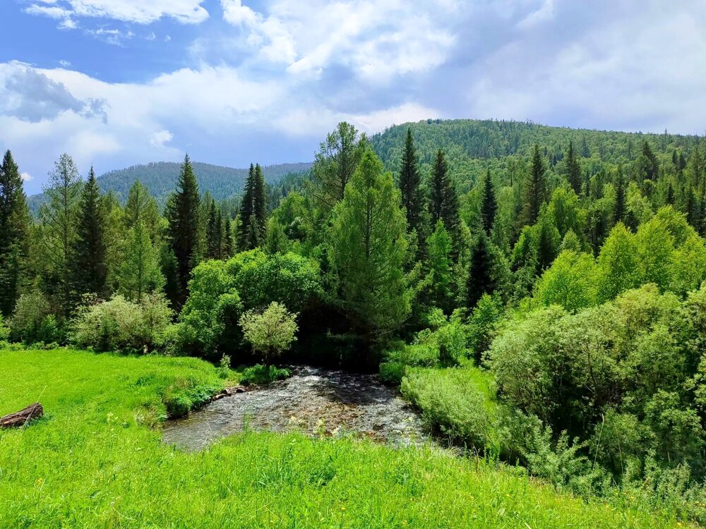 Photograph by Юлия Холомцева