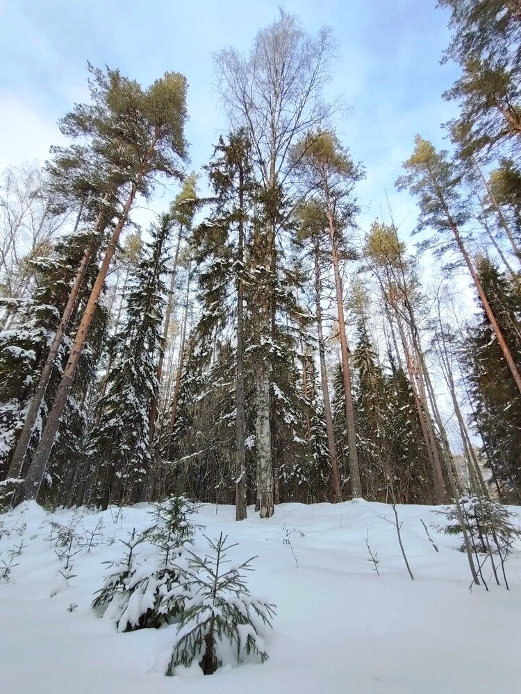 Photograph by Юлия Холомцева