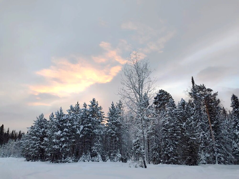 Photograph by Юлия Холомцева