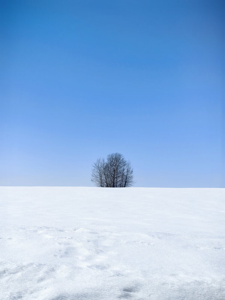 Photograph by Юлия Горелова