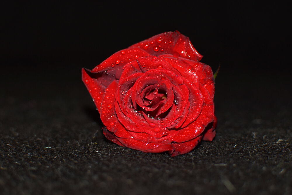 Photograph by Malatesh Garadimani