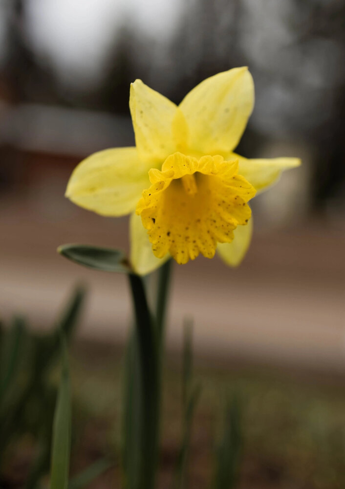 Photograph by Влада Семёнова