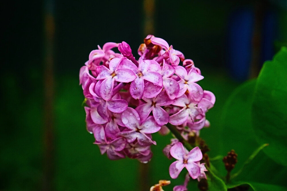Photograph by Влада Семёнова