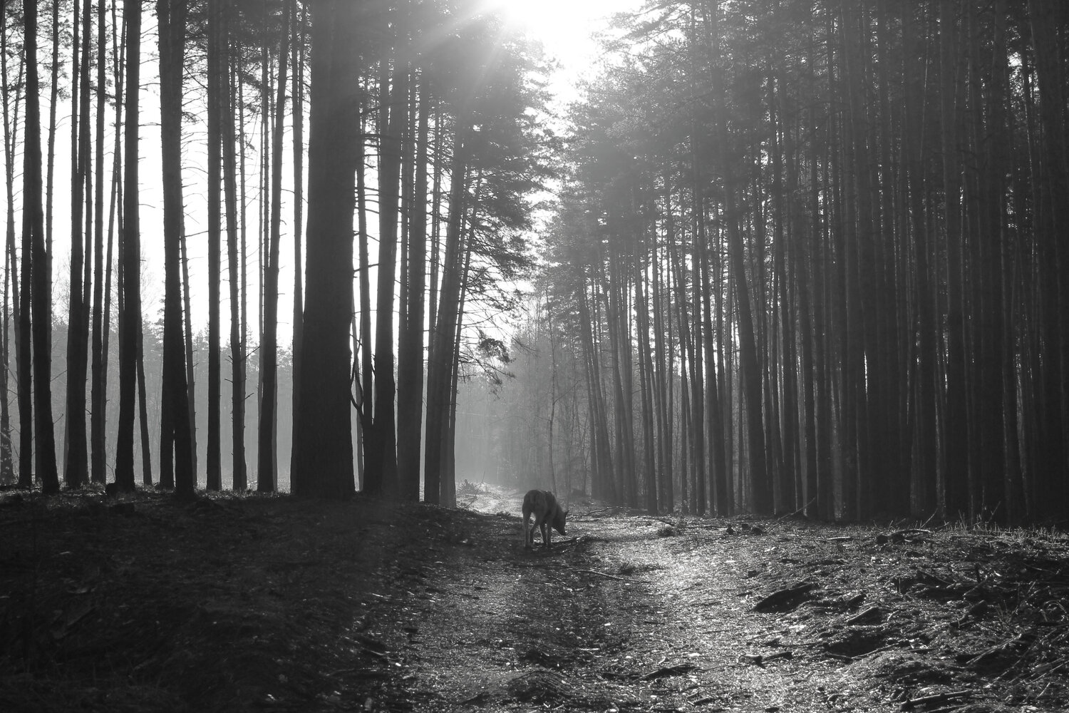 Photo #13852122