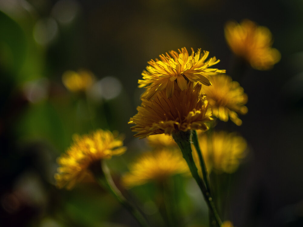Photograph by Татьяна Эрбутаева