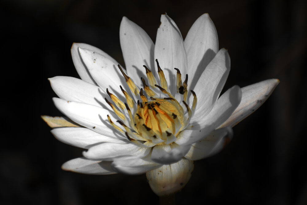 Photograph by Malatesh Garadimani