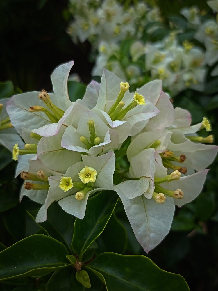 Photograph by Елена Чернякова