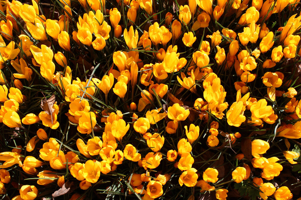 Photograph by Дарья Крючкова