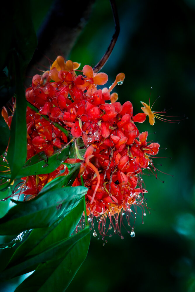 Photograph by Subhajit Datta