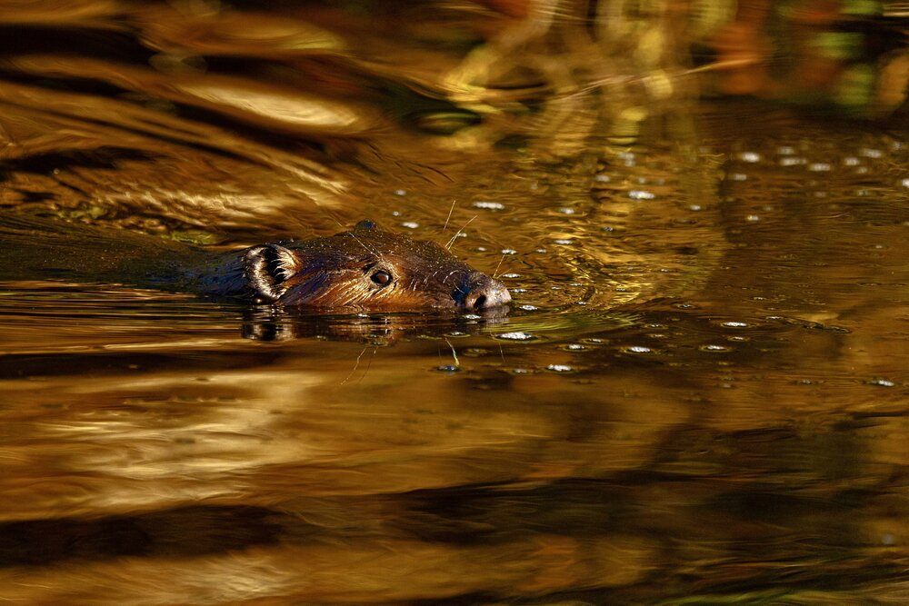 Photograph by Владимир Цветов