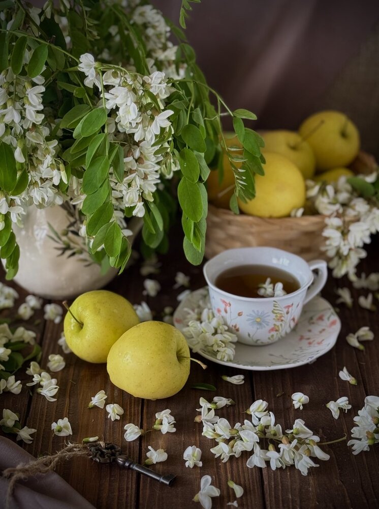 Photograph by Алена Ходатович