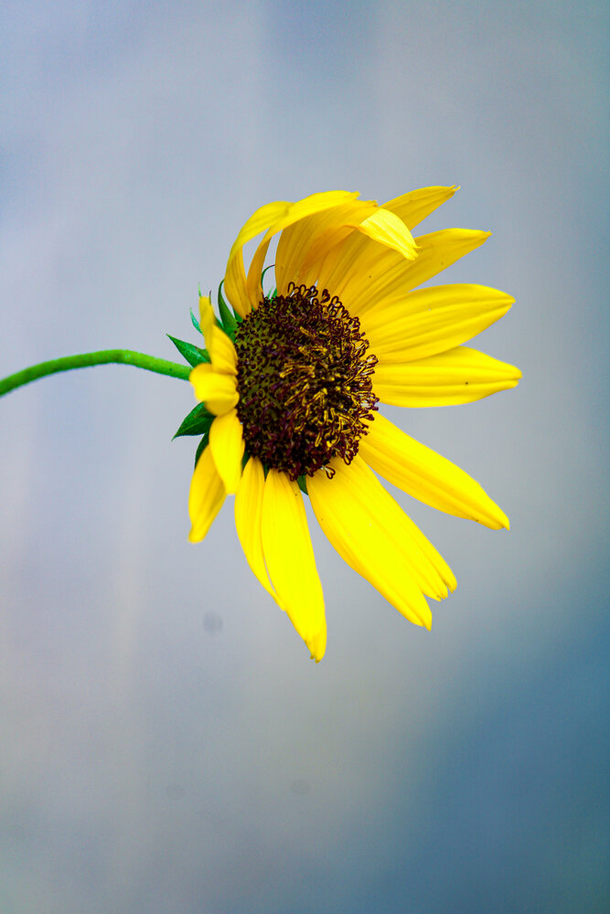 Photograph by Subhajit Datta