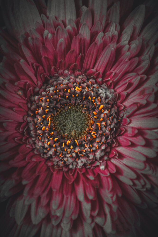 Photograph by Subhajit Datta