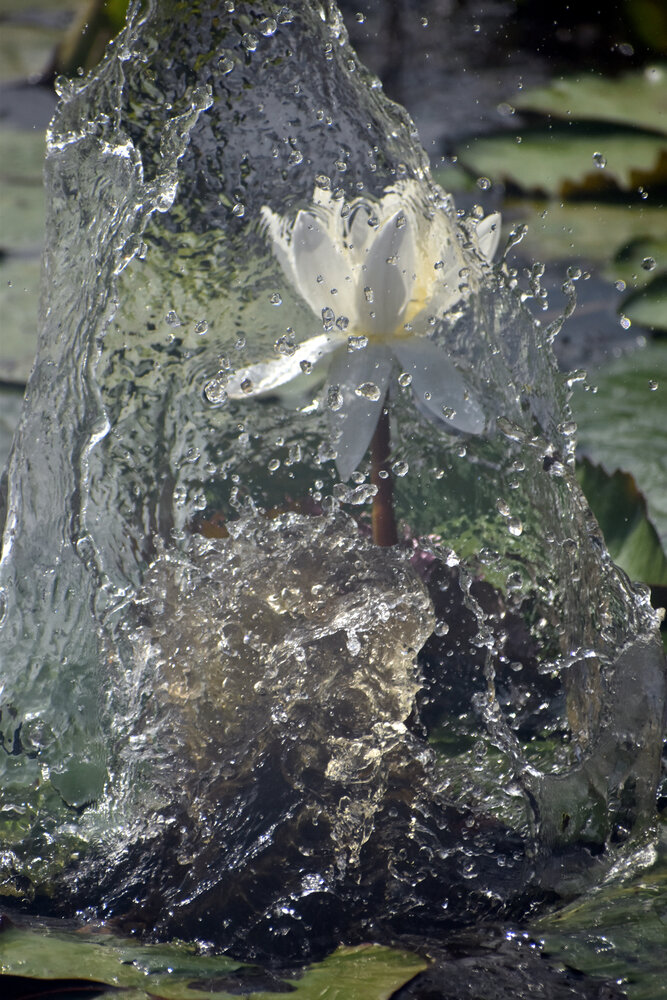 Photograph by Malatesh Garadimani