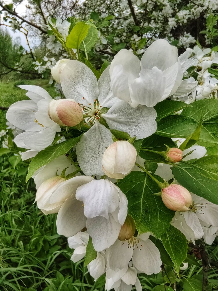 Photograph by Елена Павлова