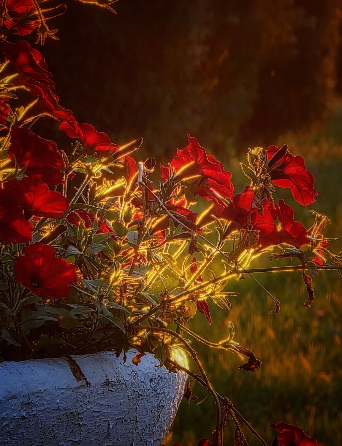 Photo #13852363