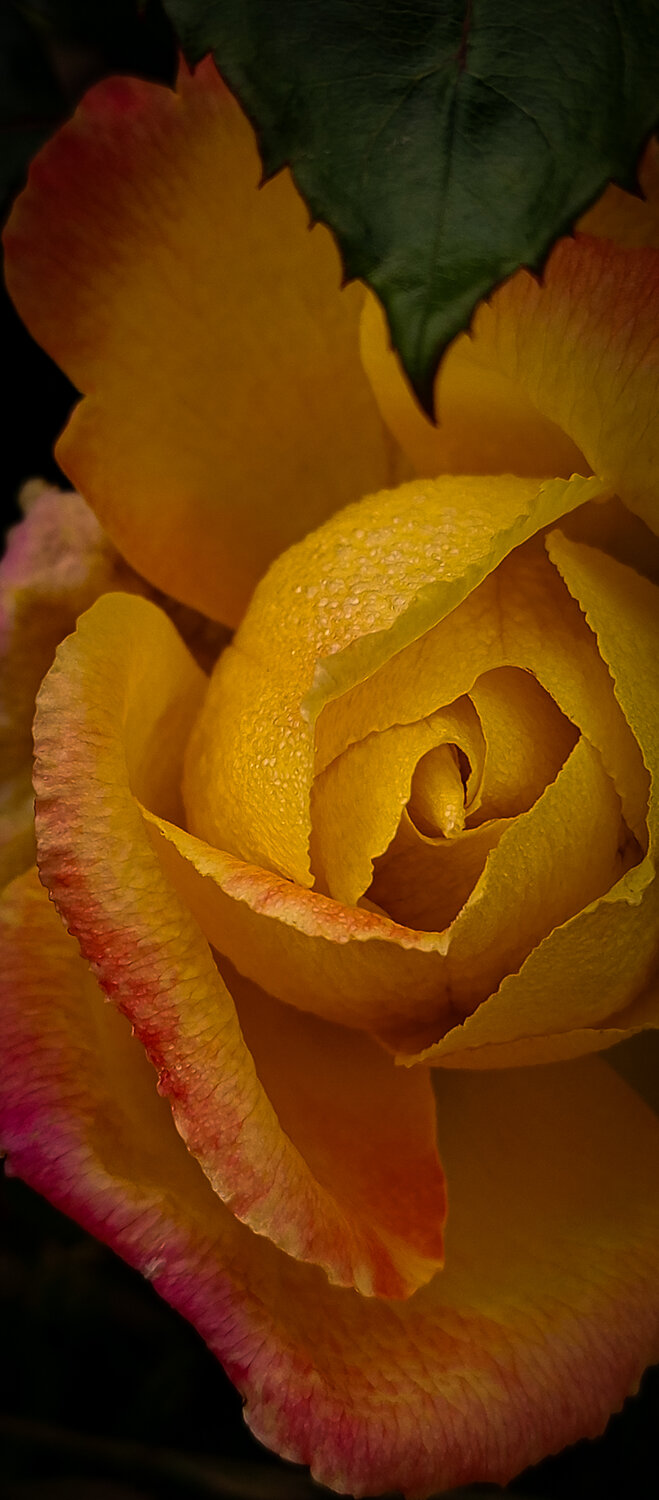 Photo #13852405