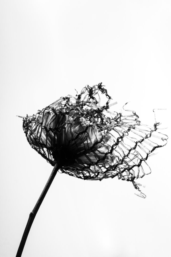 Photograph by Денисов Александр