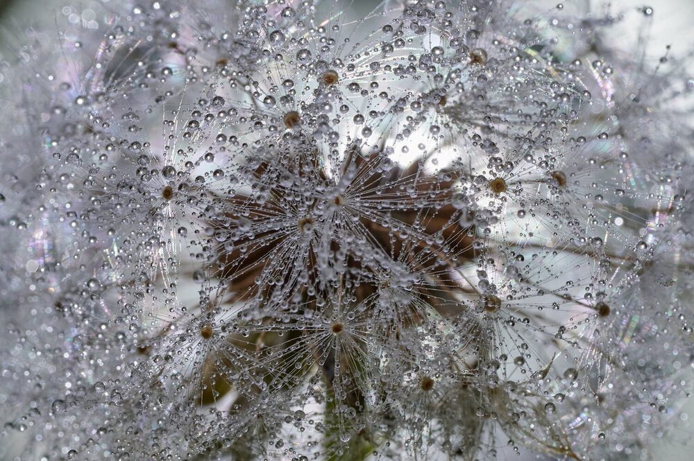 Photograph by Ирина Бехтерева
