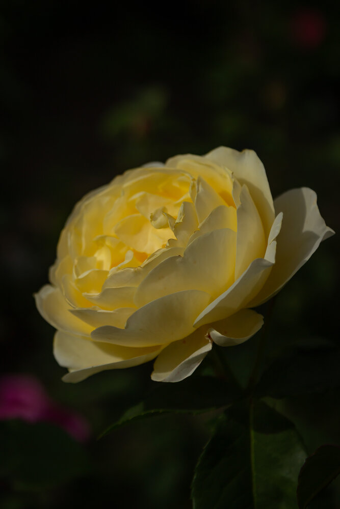 Photograph by Татьяна Гороховская