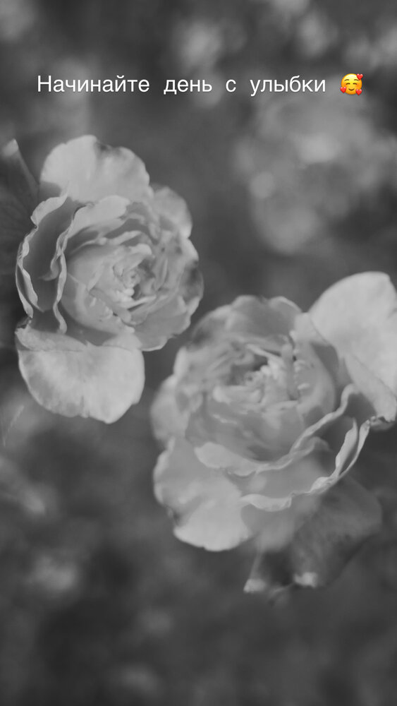 Photograph by Наталья Сафронова