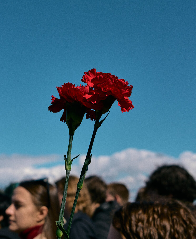 Photograph by Дмитрий Сердитов