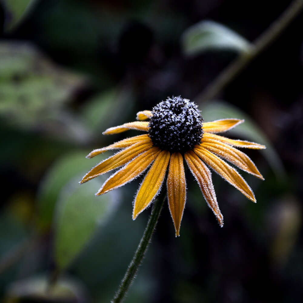 Photograph by Vitalii Kaznin