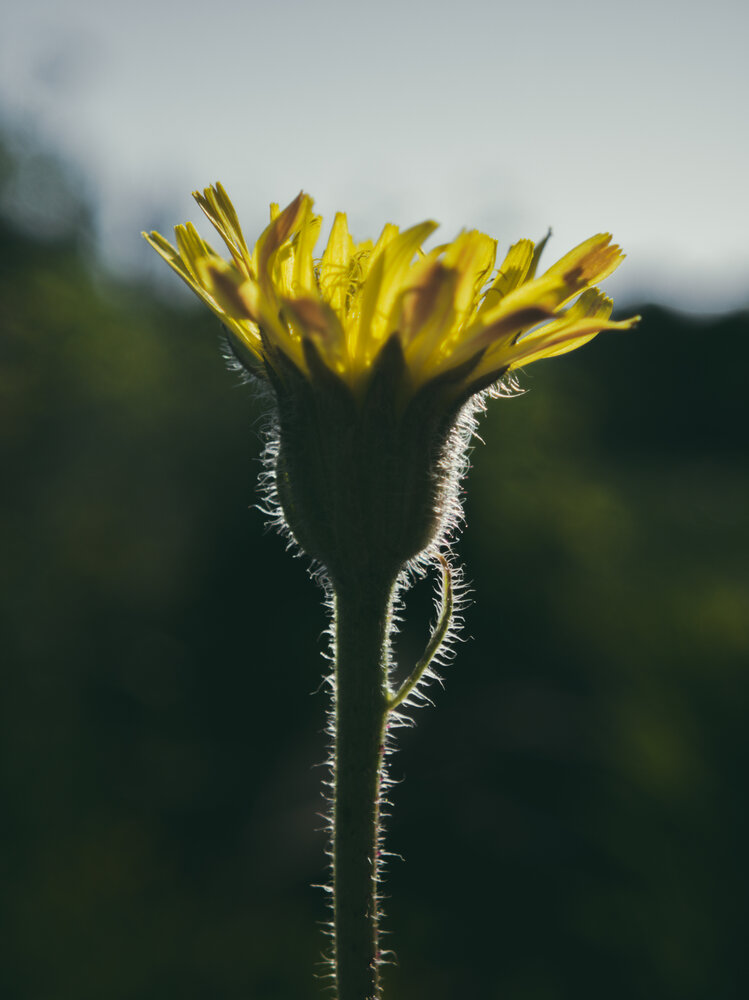 Photograph by Сергей Пыдык