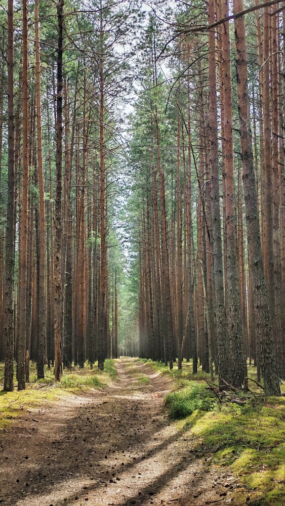 Photograph by Анна Захарчук