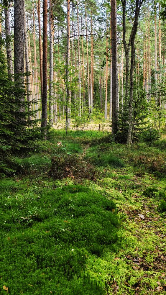 Photograph by Анна Захарчук