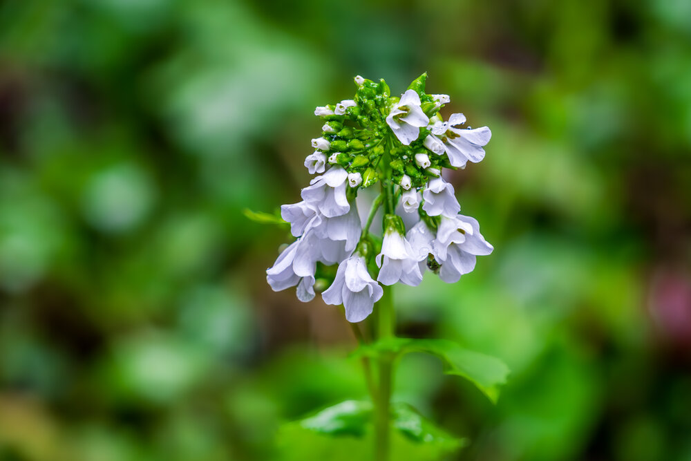 Photograph by Никита Борзов