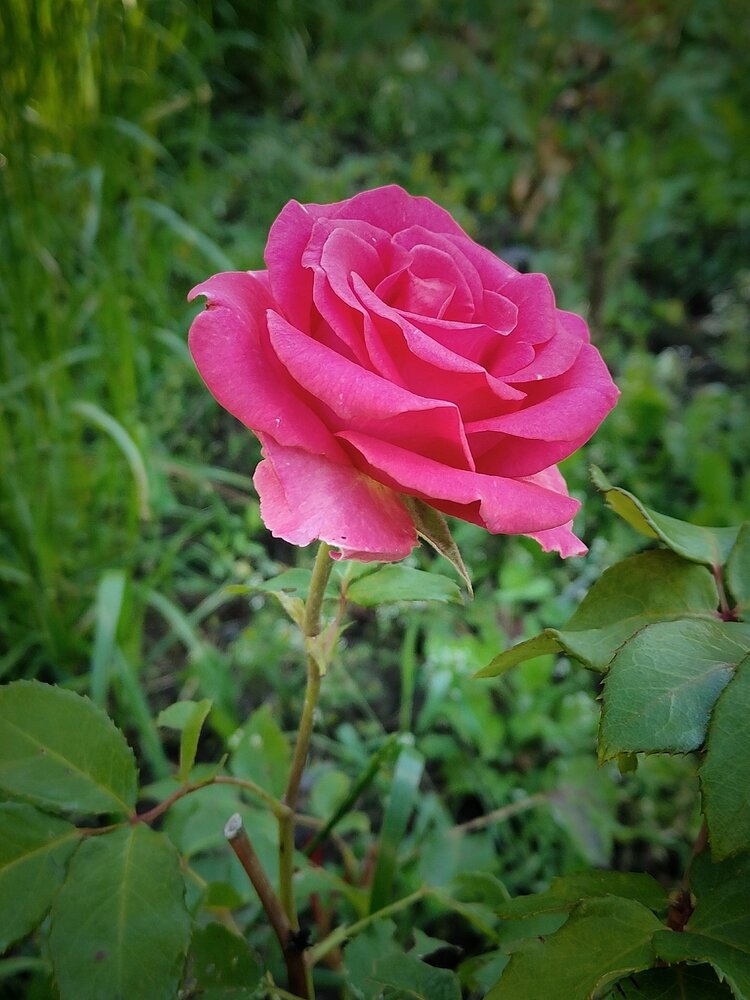 Photograph by Мария Колпакова