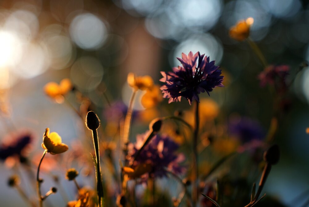 Photograph by Ирина Эф