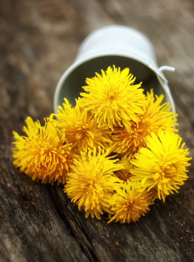 Photograph by Антонина Кузнецова