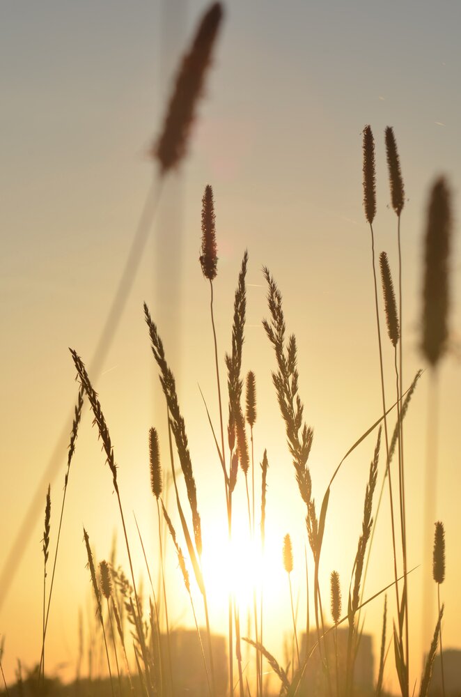 Photograph by Наталья Емашова