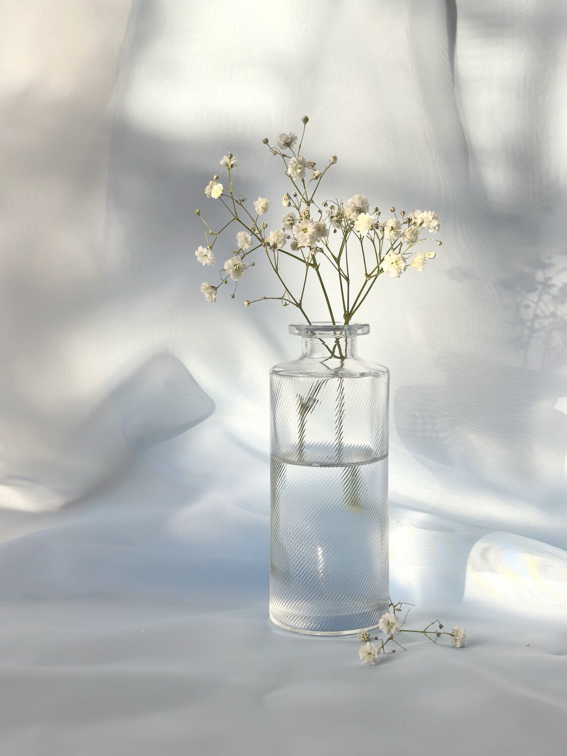 Photo #13852870