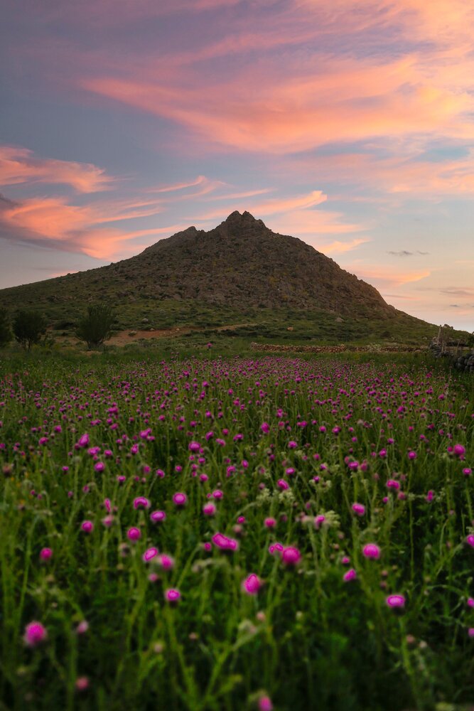 Photograph by Hamid espanani