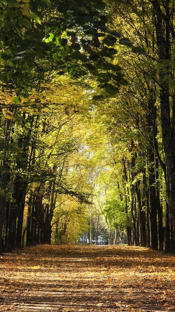 Photograph by Анна Корнейко