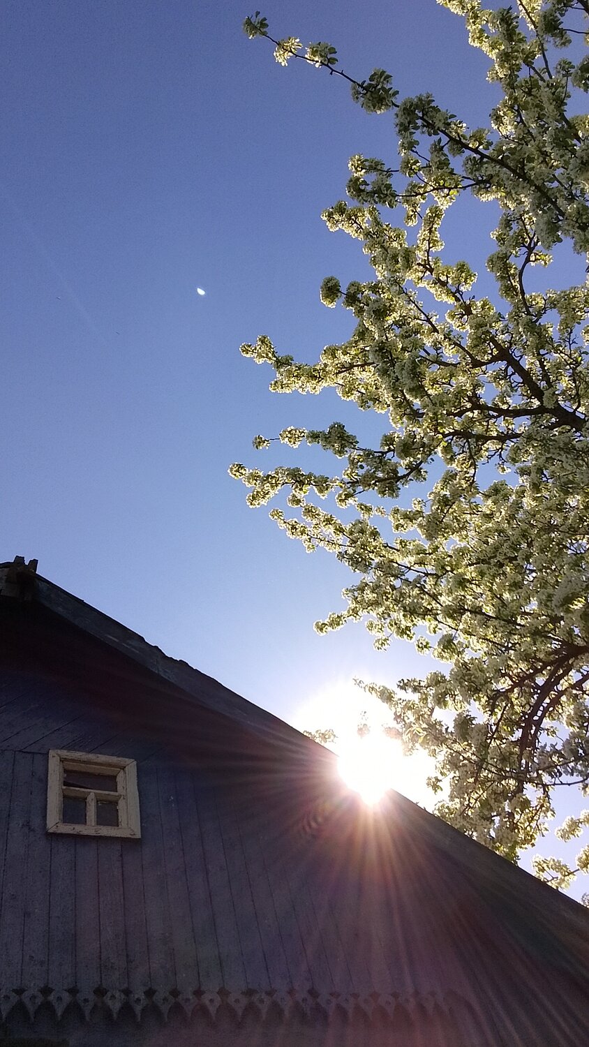 Photo #13852898