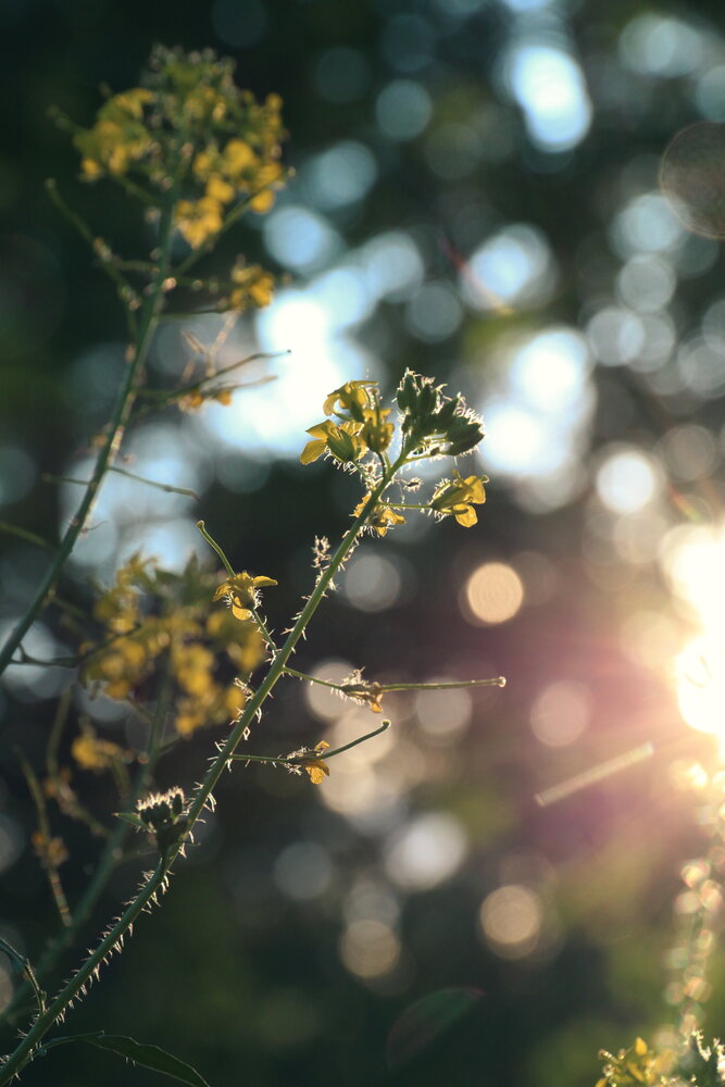 Photograph by Юрий Звонарев
