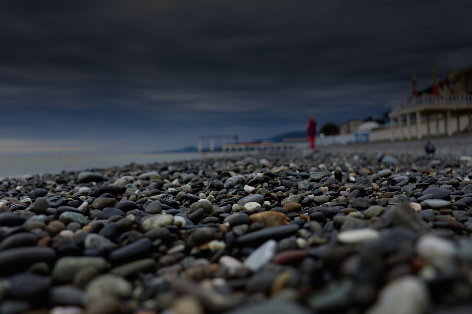 Photo #13852993