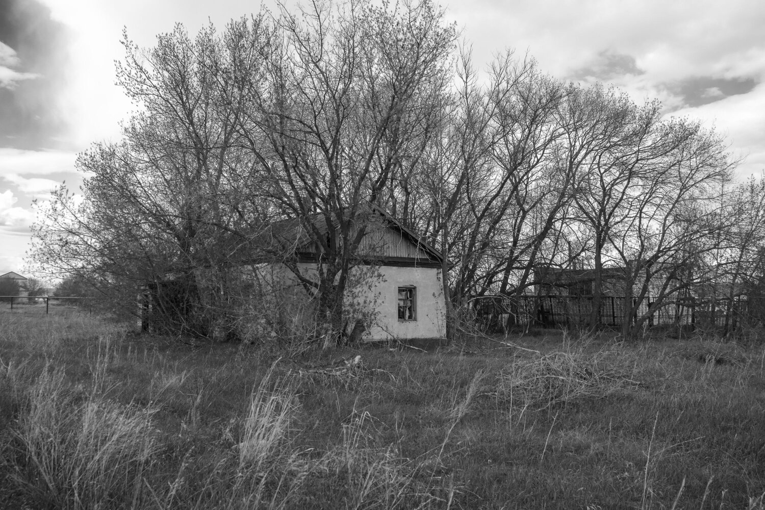 Photo #13853011
