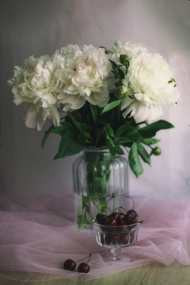 Photograph by Алёна Кибичеева